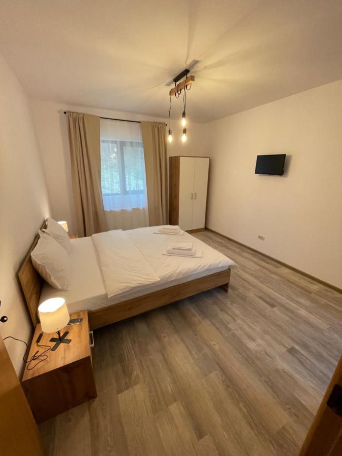 Cosy&Minimalistic Apartments - Haret Building Sinaia Eksteriør billede